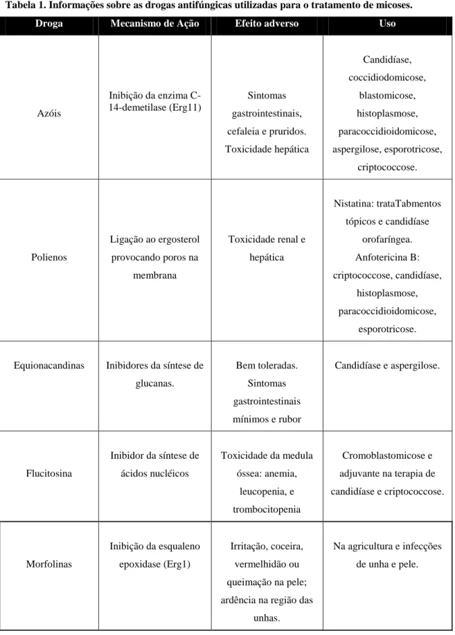 Tabela 1. Informações sobre as drogas antifúngicas utilizadas para o tratamento de micoses