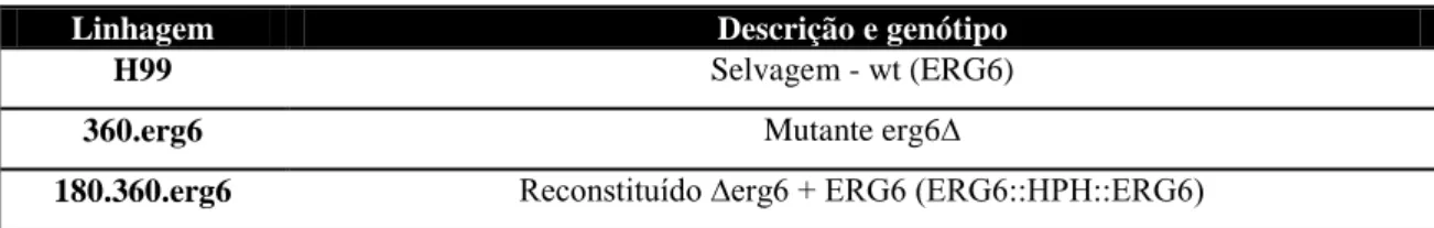 Tabela 2. Linhagens de C. neoformans utilizadas 