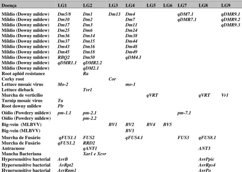 Tabela  2.    Lista  de  genes  de  resistência  e  QTLs  (Quantitative  trait  loci)  localizados  nos  diferentes grupos de ligação (Linkage Groups – LG) disponíveis nos mapas de ligação da alface  (Lactuca sativa L.)