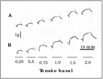 Figura 3. Registro típico da resposta vasoconstritora induzida pela adição de fenilefrina  (10 -7  M, •)  em  anel  de  aorta  a  diferentes  tensões  passivas  basais