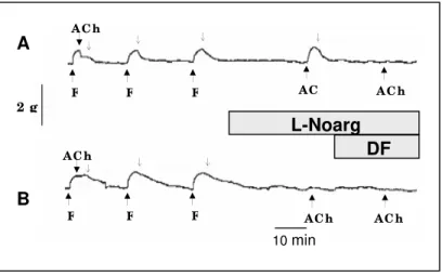 Figura 8 – Efeito da acetilcolina (ACh, 10 -6  M) em aorta pré-contraida com fenilefrina (F) ou  na  presença  de  Nitro-L-Arginina  (L-Noarg,  300  µM)  somente  ou  em  combinação  com  diclofenaco  (10  µM)  em  preparações  com  endotélio  (A)  ou  sem