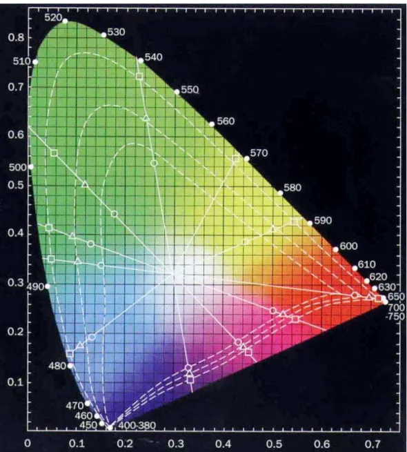 Ilustração 3. Diagrama de cromaticidade x,y do CIE 1931. As linhas tracejadas apresentam  dados do experimento de Werner e Walraven (1982) apud Werner (1998)