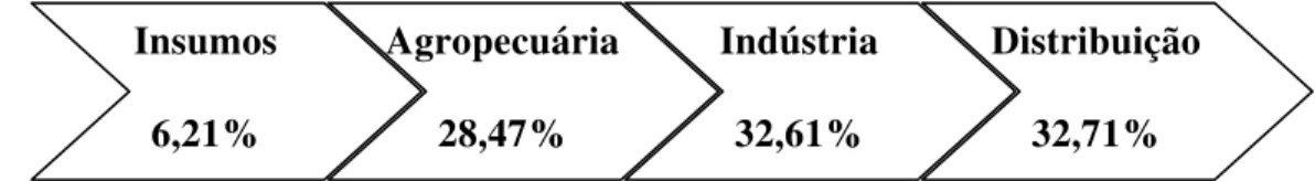 Figura 7 - PIB do agronegócio em 2005 – participação por segmentos 