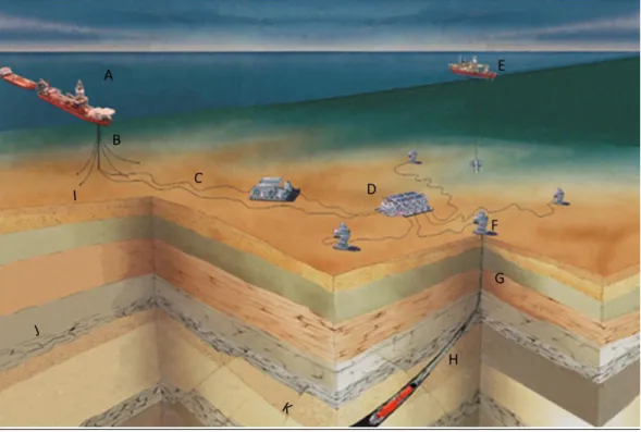 Figura 2.3 – Figura ilustrativa de um sistema de produção offshore de petróleo. Fontes: 