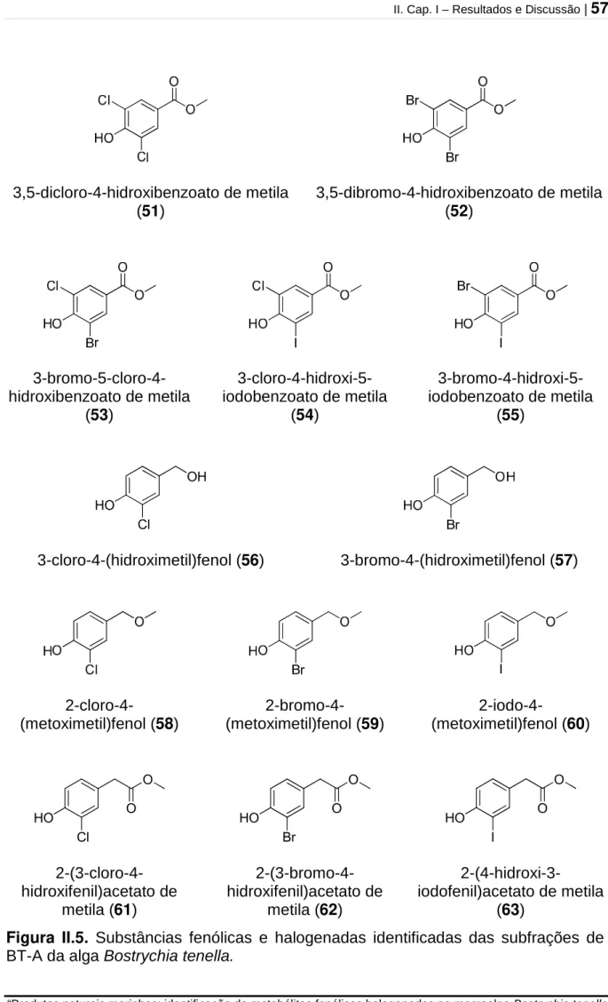 Figura  II.5.  Substâncias  fenólicas  e  halogenadas  identificadas  das  subfrações  de  BT-A da alga Bostrychia tenella