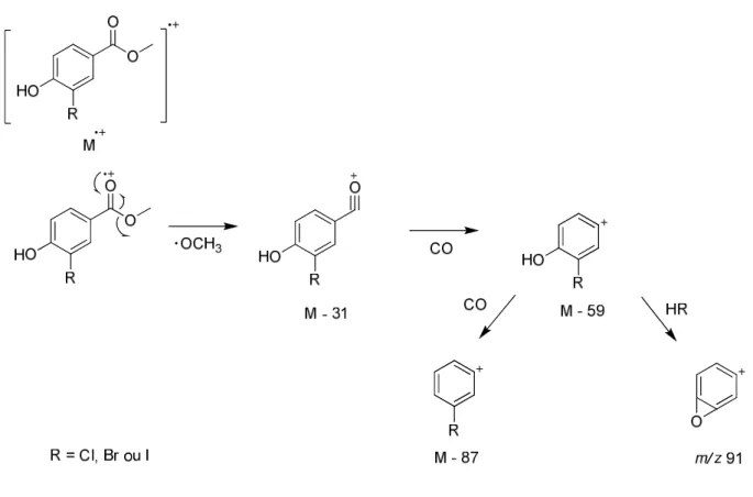 Figura II.7 -  Proposta  geral  de fragmentação  química  por  impacto  de elétrons  dos  derivados monohalogenados do metabólito 42
