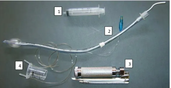 Figura  2.  Sonda  orotraqueal  e  aparato  necessário  para  intubação  de  pequenos  ruminantes