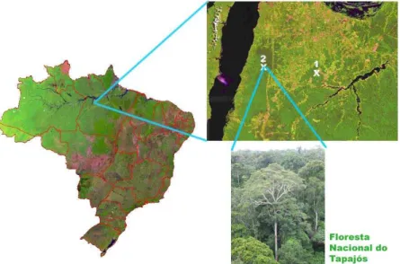 Figura  4.1.  Imagem de Satélite do Brasil destacando os dois pontos de  amostragem no Estado do Pará (escala: 1:50.000) (fonte: CD EMBRAPA) e em  destaque, a Floresta Nacional do Tapajós (02º51’S, 54º58’O)