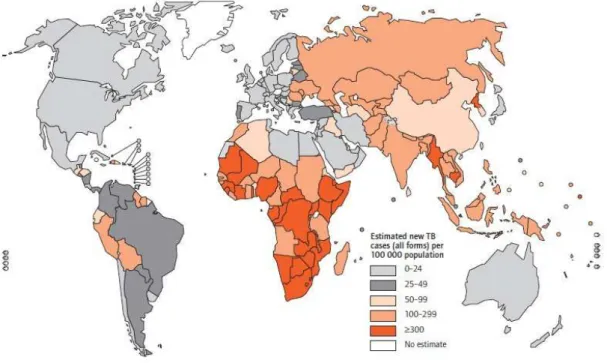 Figura 1: Estimativa da taxa de incidência de TB, 2008. 