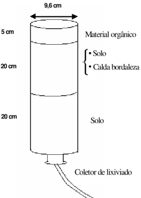 Figura 4 – Detalhes da coluna de lixiviação 