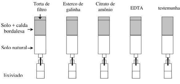 Figura 5 – Esquema da distribuição dos tratamentos por coluna 