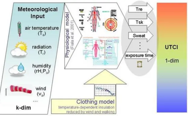 Figura 2. UTCI a partir do modelo termofisiológico e modelo de vestuário; Fonte: Adaptado de  Blazejczyk et al., (2010) 