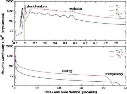 Figura 2.1: Luminosidade de neutrinos instantes após a explosão de uma supernova do tipo II