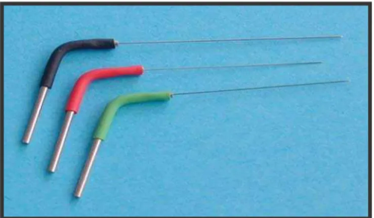 Figura 4.4 - Sondas de diversos calibres utilizadas para a                                                        descarga elétrica no interior do canal radicular 