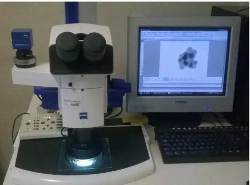 Figura 21 - Estereomicroscópio Stereo Discovery V8 (Zeiss, Alemanha) utilizado para microscopia da  partículas aglomeradas