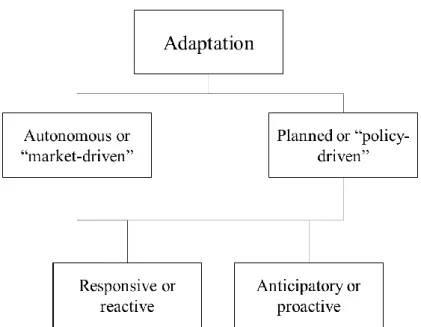 Figure 1.4. Types of climate change adaptation. Source: Own elaboration based on (IPCC 2007, 2014b; Bosello et al