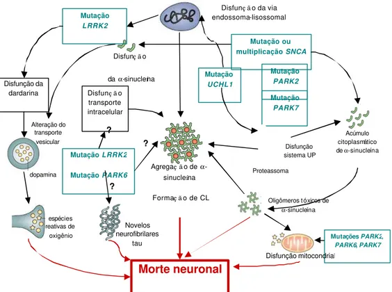 Figura 2.6: Modelo de parkinsonismo 