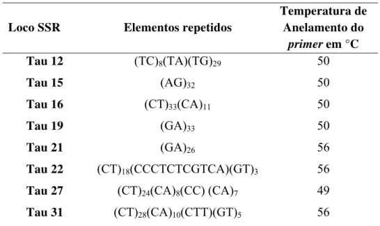 Tabela 3: Tabela contendo os primers de ipê branco padronizados e usados nesse  estudo e a temperatura de anelamento da PCR