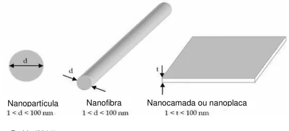 Figura 1 - Esquema de vários tipos de nanocargas com dimensões em nanoescala, sendo d =  diâmetro e t = espessura
