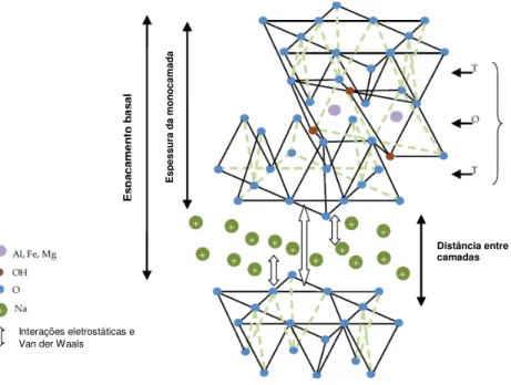 Figura 3 – Estrutura dos filossilicatos 2:1. Adaptado da literatura [44]. 