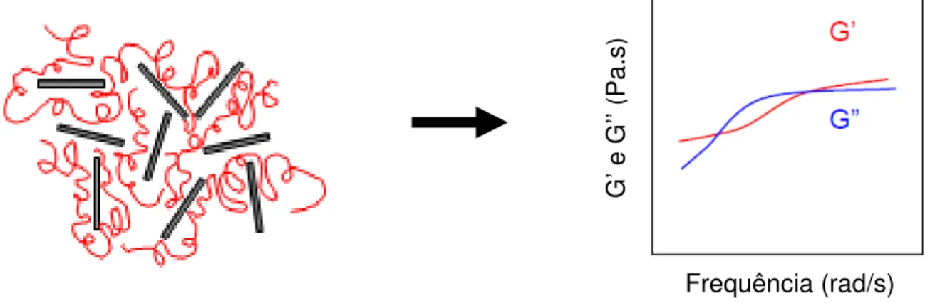 FIGURA  9  –  Resposta  reológica  de  COPA  para  a  estrutura  de  nanocompósito  esfoliado 