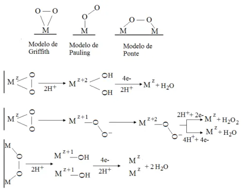 Figura 1. 1: Possíveis rotas reacionais da reação de redução de oxigênio em meio ácido