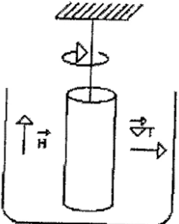 Figura 2:  Arranjo experimental para o efeito Sçott. 