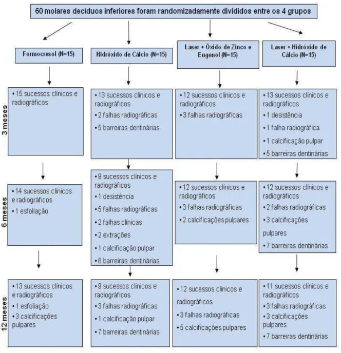 Figura 1 – Fluxograma dos dentes pulpotomizados nos períodos de 3, 6 e 12 meses. 