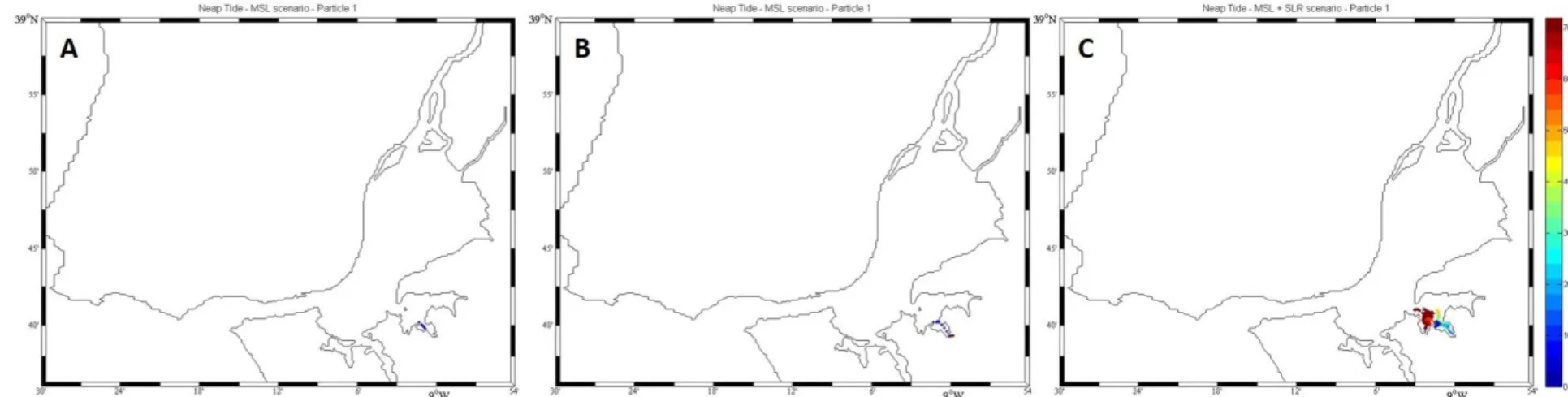 Figure 2.2.4. Lagrangean transport from Rosário salt marsh in MSL conditions (A), high river discharge (B) and SLR (C) conditions during neap tides