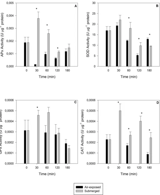 Figure  2.3.7.  Antioxidant  enzymatic  activities  in  air-exposed  and  submerged  leaves  of  submerged and air-exposed S