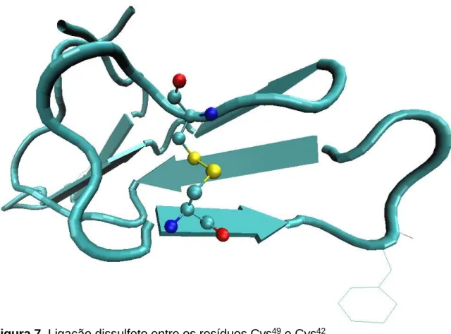 Figura 8. Ligação dissulfeto entre os resíduos Cys 61  e Cys 46