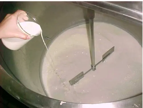 Figura 2. Adição de cultivo starter ao leite contido na iogurteira. 