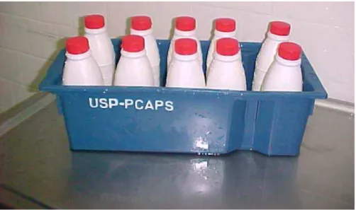 Figura 5. Iogurtes armazenados em câmara fria. 