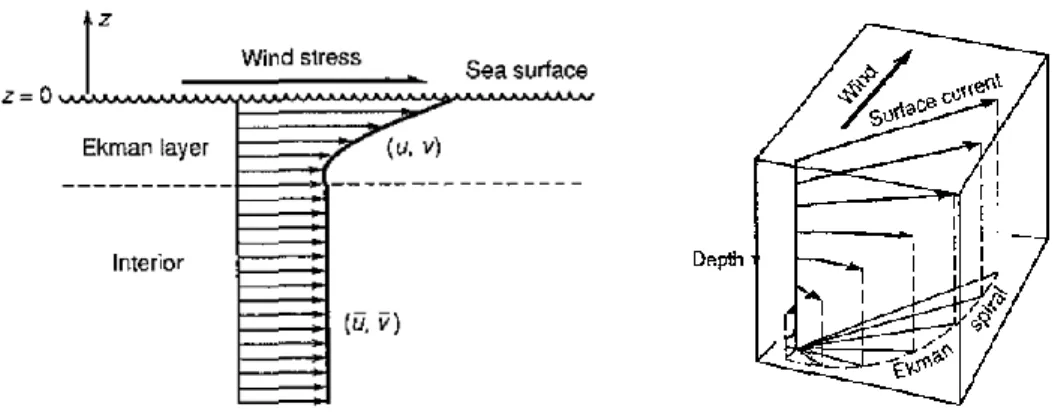 Figure 4 depicts the ocean surface Ekman layer and its respective hodograph. 