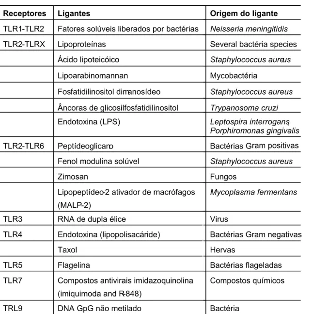 Tabela 1. Ligantes dos receptores Toll-like humanos e os patógenos  relacionados 