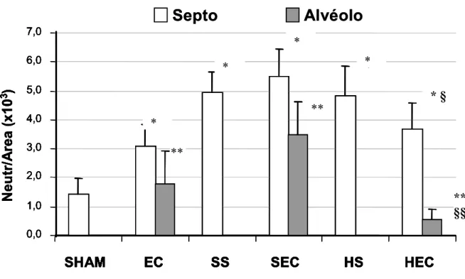 Figura 5. Representação quantitativa dos neutrófilos em pulmão de ratos na  região septal e alveolar