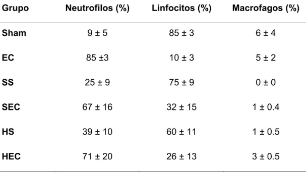 Tabela 5. Diferencial das células recuperadas no BAL. Observa-se um  aumento de neutrófilos em todos os grupos, comparados ao grupo SHAM