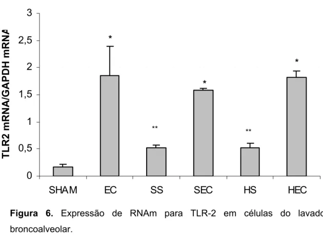 Figura 6. Expressão de RNAm para TLR-2 em células do lavado  broncoalveolar.  