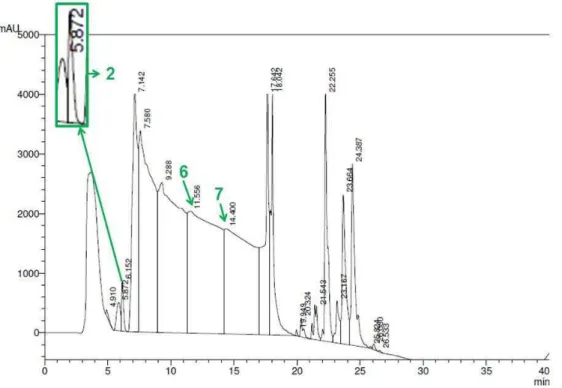 Figura  13-    Fracionamento    da  secreção  cutânea  da  R.icterica  em  coluna  de  fase  reversa  (Vydac  C 8 )