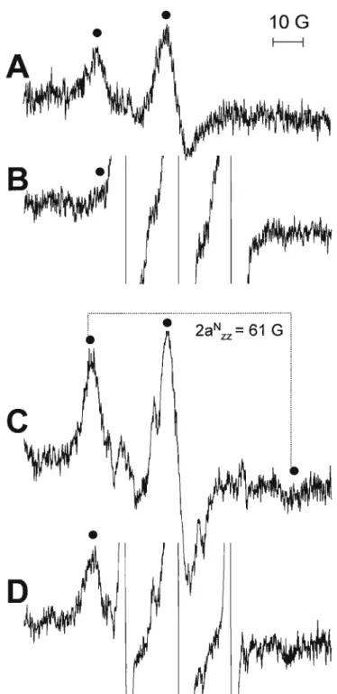 Figura 7: Espectros de EPR dos radicais adutos de PBN obtidos em incubações de albumina nativa com peroxinitrito/C0 2 na presença e ausência de tempol