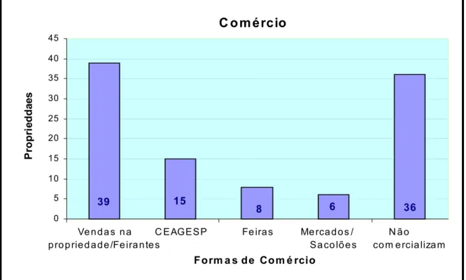 Gráfico 2 - Formas de comércio dentre as propriedades pesquisadas.  
