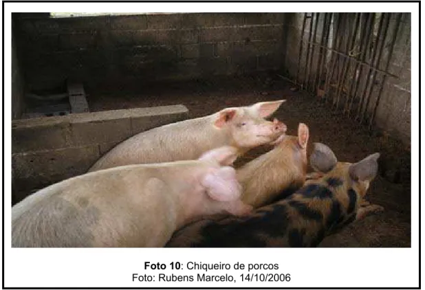 Foto 10: Chiqueiro de porcos  Foto: Rubens Marcelo, 14/10/2006 