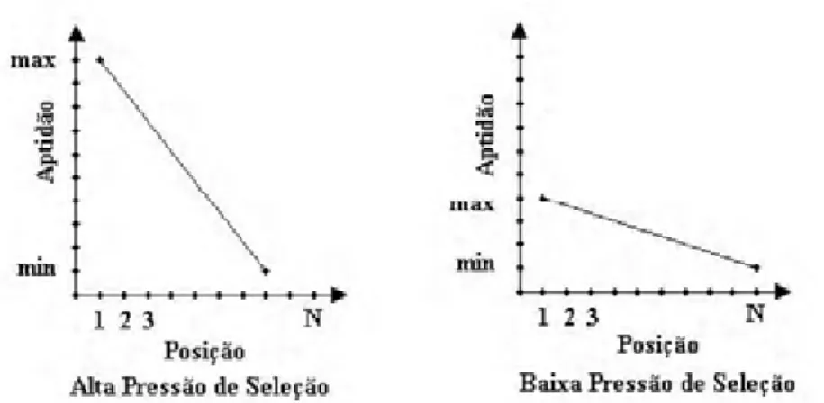 Figura 5.1: Pressão de Seleção (Lacerda e Carvalho, 1999). 