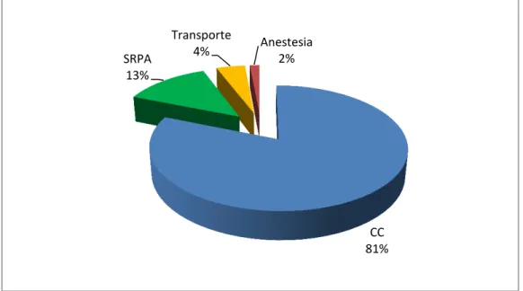 Gráfico  3-  Distribuição  da  equipe  de  enfermagem  segundo  o  setor  de  atuação no centro cirúrgico, São Paulo (Interior)  –  2014