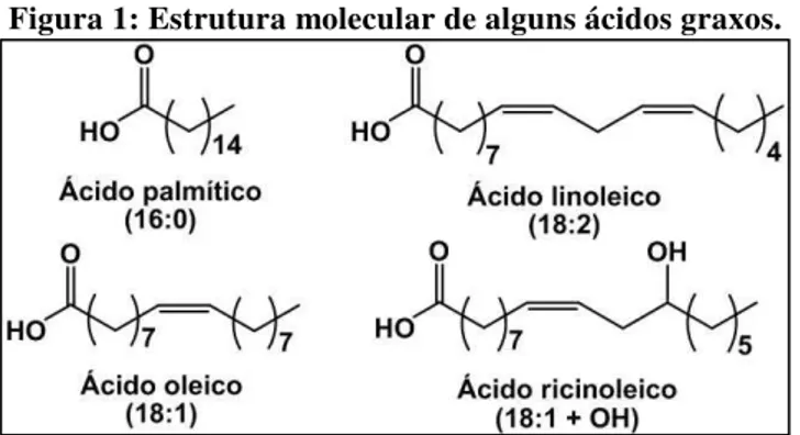 Figura 1: Estrutura molecular de alguns ácidos graxos. 