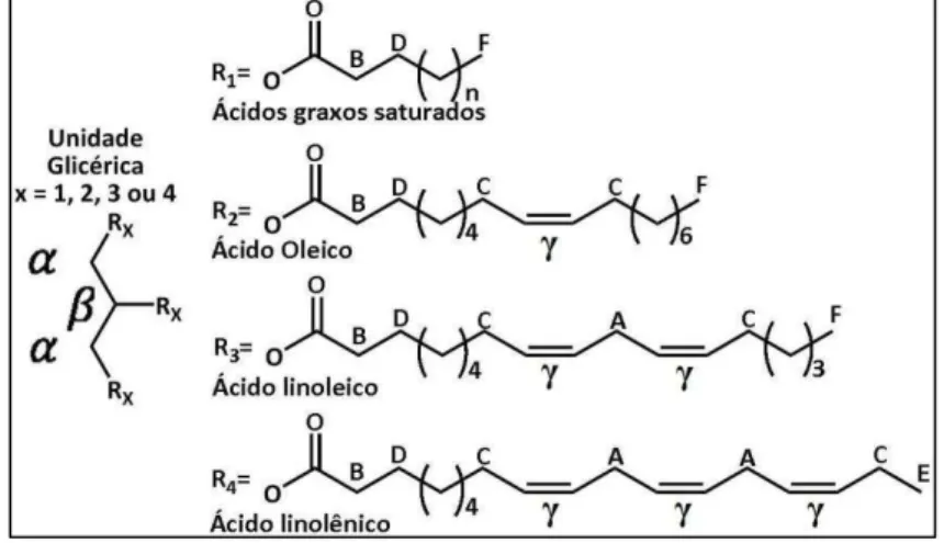 Figura 3: Representação de estruturas comuns em ácido graxos e seus hidrogênios característicos 