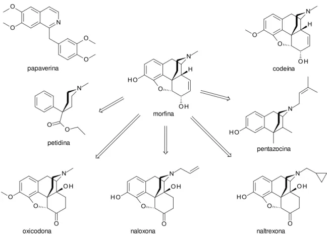 Figura 34: Alcalóides extraídos do ópio e os compostos planejados a partir da morfina