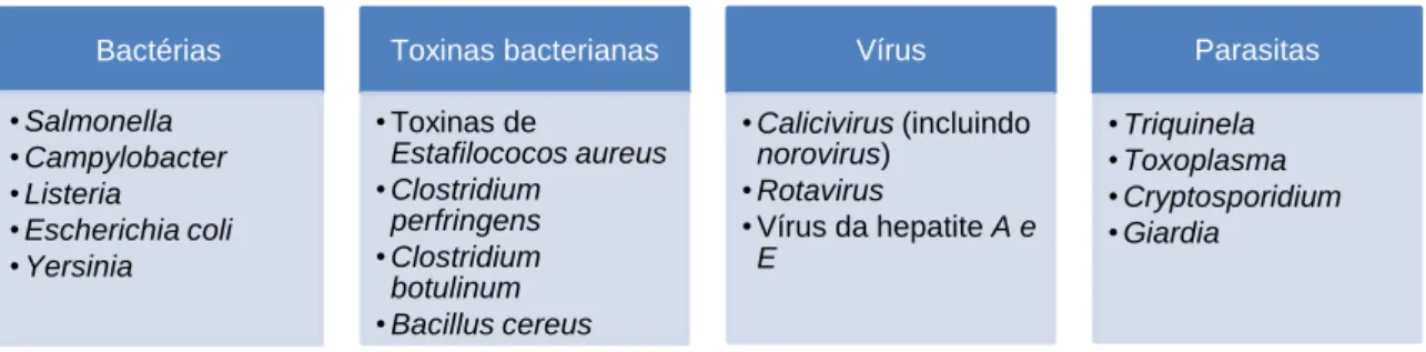 Figura 4: Contaminação química, física e biológica. 