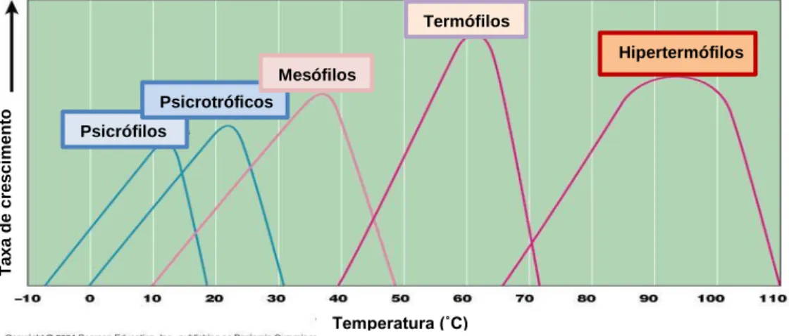 Figura 5: Temperaturas de crescimento dos microrganismos. 