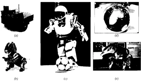 Figura 1.2 - Robôs Móveis 